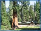 Giant Forest Museum