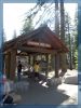 Sequoia NP