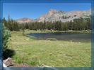 Tioga Road