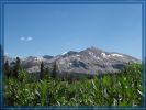 Tioga Road