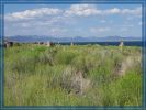 Mono Lake