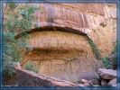 Zion NP