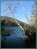 USA2014-RB-0116.jpg