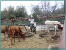 Fort Worth Stockyards