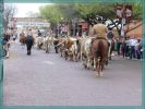 Fort Worth Stockyards