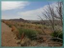 Texas Caprock Canyons State Park