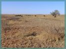 Texas Caprock Canyons State Park