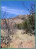 Texas Palo Duro Canyon State Park
