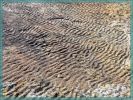 Dinosaur Ridge