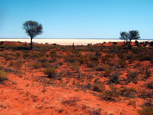 Coober_peedy_20.jpg