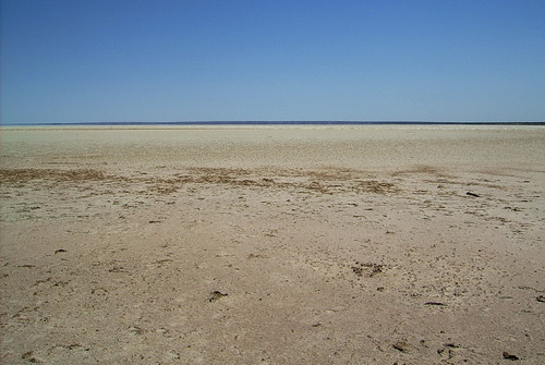 Coober_peedy_23.jpg