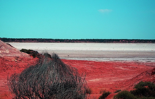 Coober_peedy_24.jpg