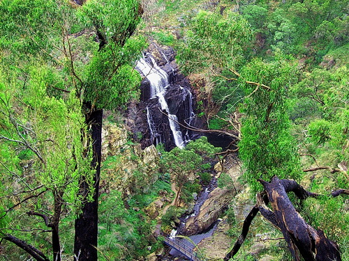 GGrampians_08.jpg