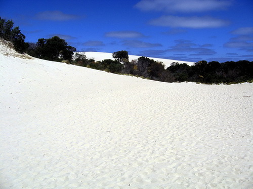 Kangoroo_Island_06.jpg