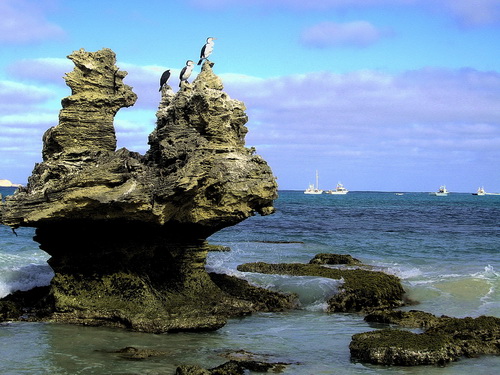 Kangoroo_Island_08.jpg