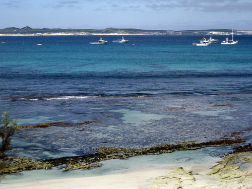 Kangoroo_Island_09.jpg