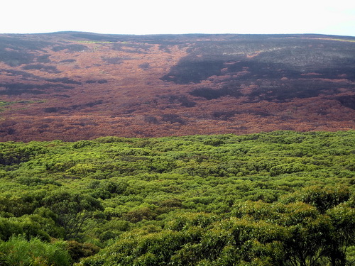 Kangoroo_Island_11.jpg