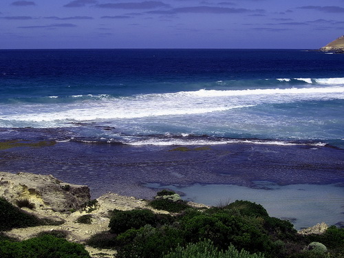 Kangoroo_Island_12.jpg