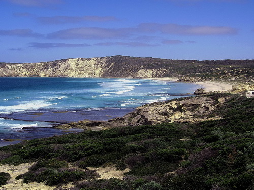 Kangoroo_Island_16.jpg