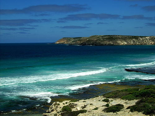 Kangoroo_Island_20.jpg