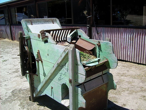 Kangoroo_Island_22.jpg