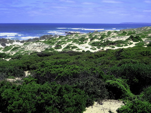 Kangoroo_Island_26.jpg