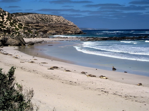 Kangoroo_Island_28.jpg