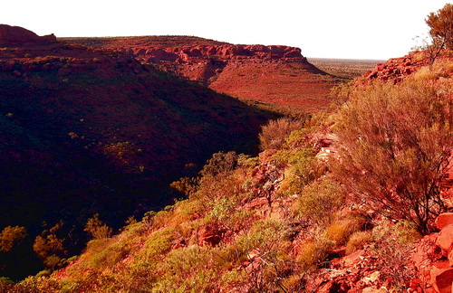 Kings_canyon_08.jpg