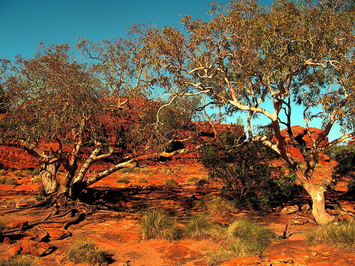 Kings_canyon_13.jpg