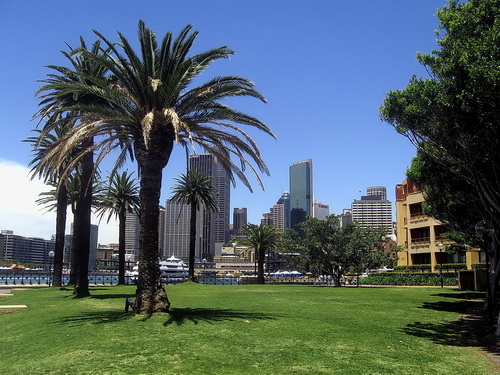 Sydney_25.jpg
