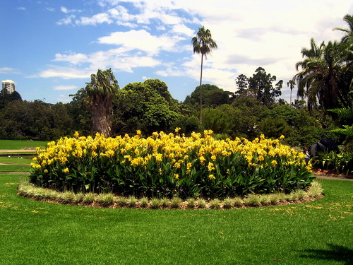 Sydney_26.jpg