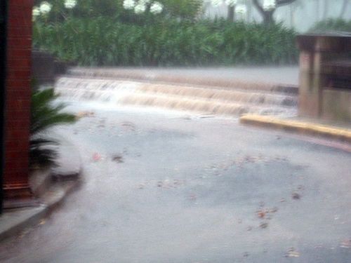 Sydney_31.jpg