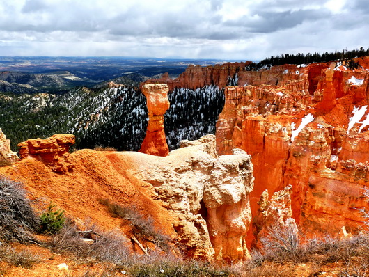 bryce_(6).jpg