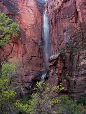 zion2_(1).jpg