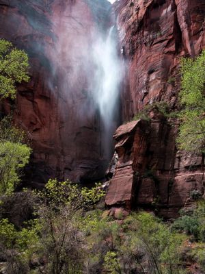 zion2_(3).jpg