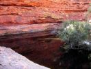 Kings_canyon_23.jpg