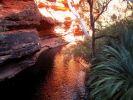 Kings_canyon_26.jpg