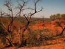 Kings_canyon_34.jpg