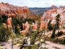 bryce_(10).jpg