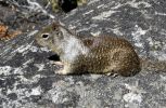 yosemiteteil1_(17).jpg