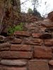 zion11_(1).jpg