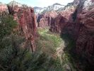 zion11_(3).jpg