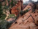 zion11_(5).jpg