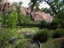 zion4_(5).jpg