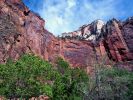 zion4_(7).jpg