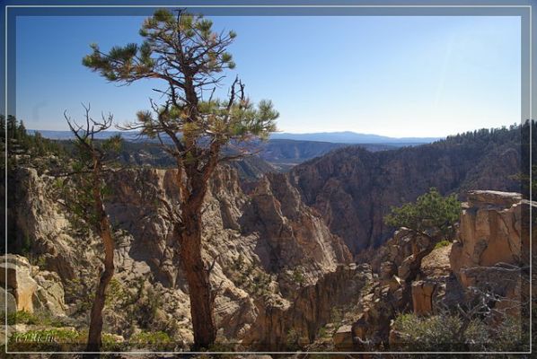 Hells Backbone Road
