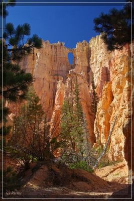 Bryce Canyon
