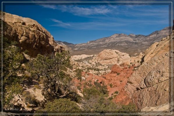 Calico Tank Trail

