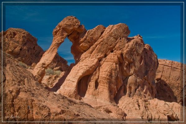 Elephant Rock
