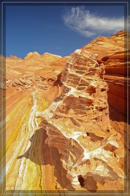Sand Cove
